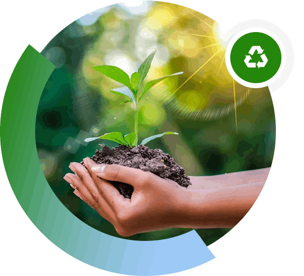 A person holding dirt and a plant in their hands.